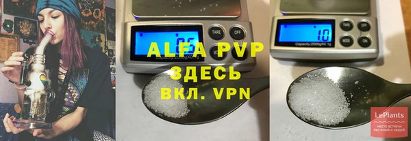 прущие грибы Заволжск