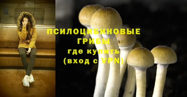 мдма Заводоуковск