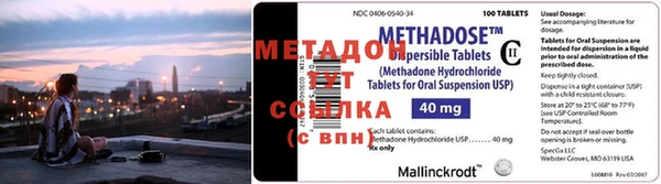 прущие грибы Заволжск