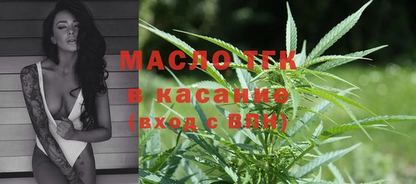 прущие грибы Заволжск
