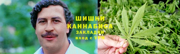 прущие грибы Заволжск