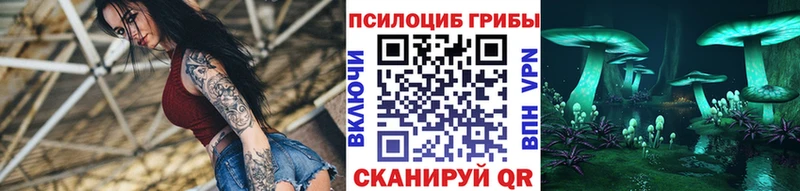 Псилоцибиновые грибы прущие грибы  Волгодонск 